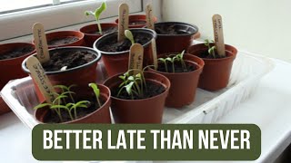 May Veg Seedsowing & Growing  UK Garden Update  Selfsufficiency Goals