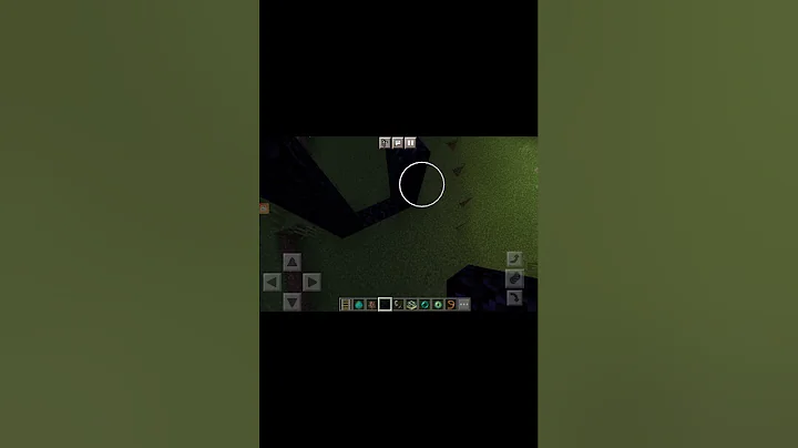 How to tame dog and make End portal and Neither po...