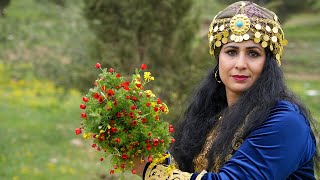 The customs and traditions of Kurdish clothes are a trip in the spring