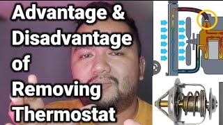 Advantage & Disadvantage of Removing Thermostat