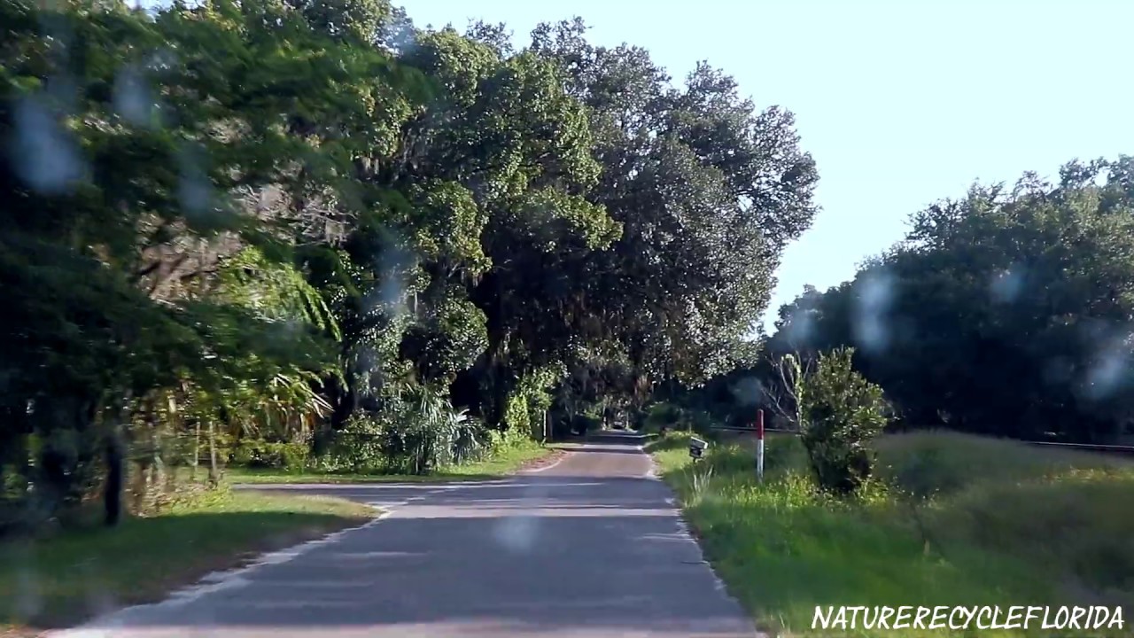 Lochloosa Florida YouTube
