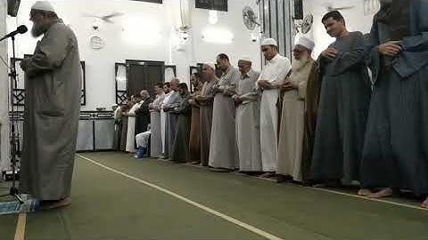 تلاوه عطره للقارئ الشيخ محمد رضا اسلام من صلاه التراويح رمضان 2019