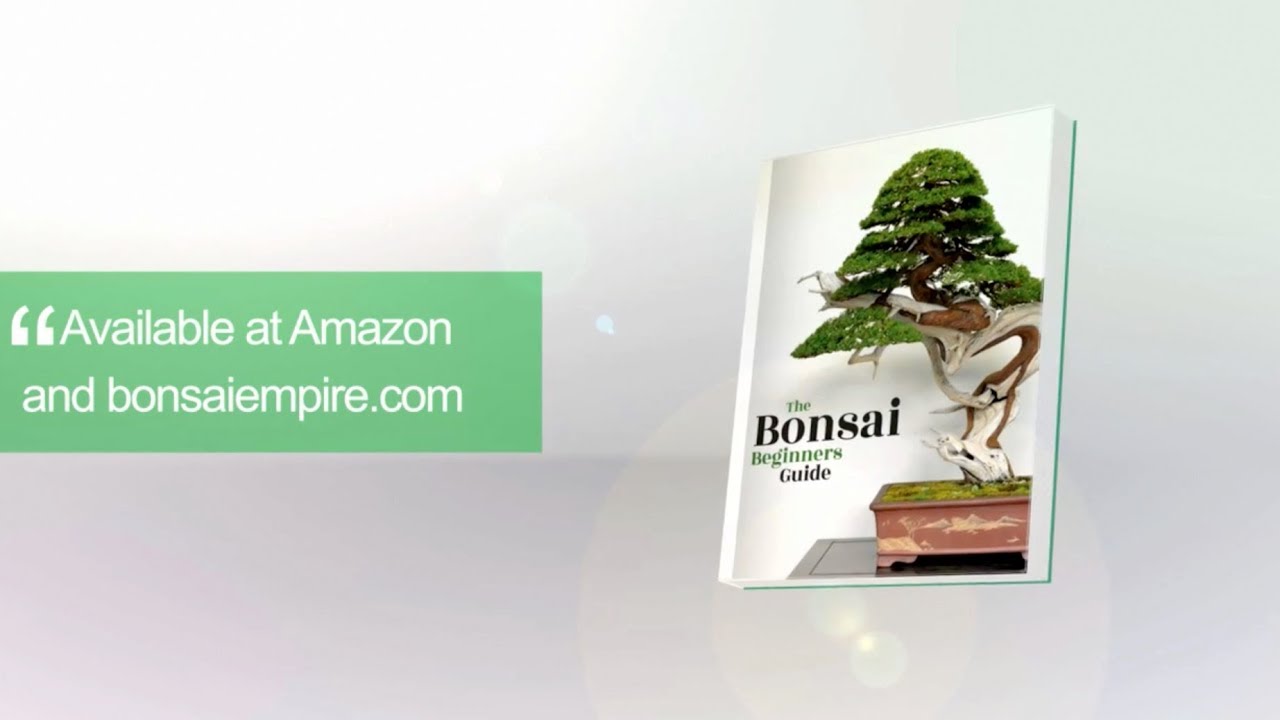 Bonsai The Beginners Guide YouTube