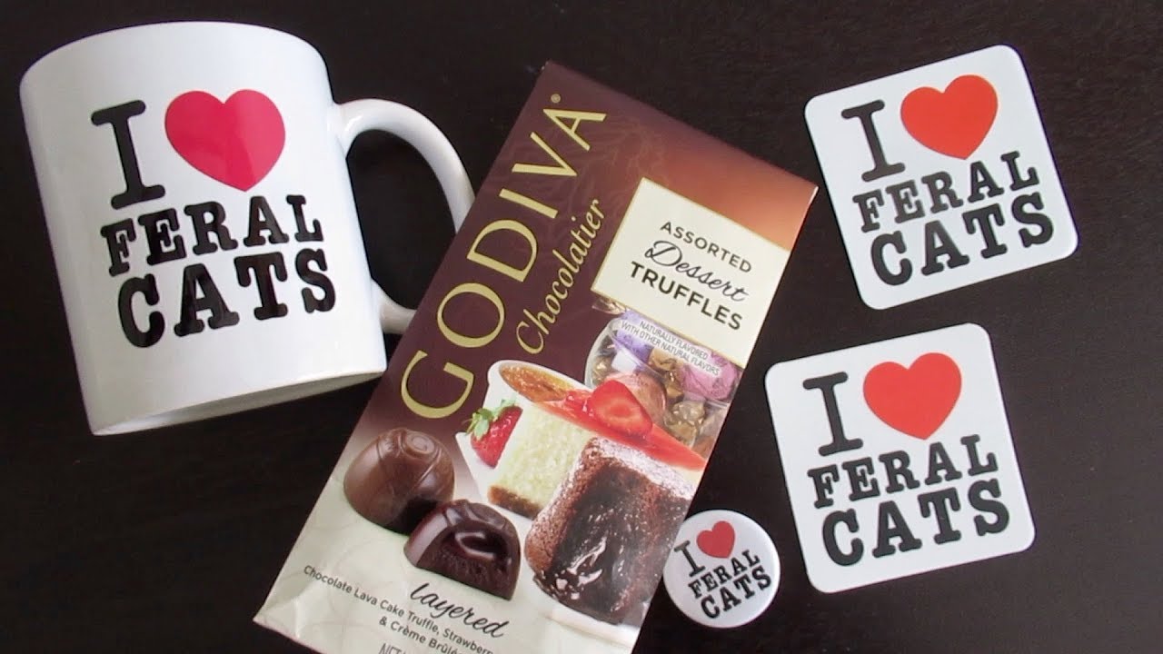 funny cats sleeping in weird positions compilation 2014 funnyplox I Love Feral Cats Giveaway! Valentine's Day Giveaway 2019!