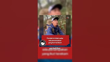 SOLO HIKING YANG MENGERIKAN! #viral #shorts #shortvideo #pendaki #gunung #cerita #pendakigunung