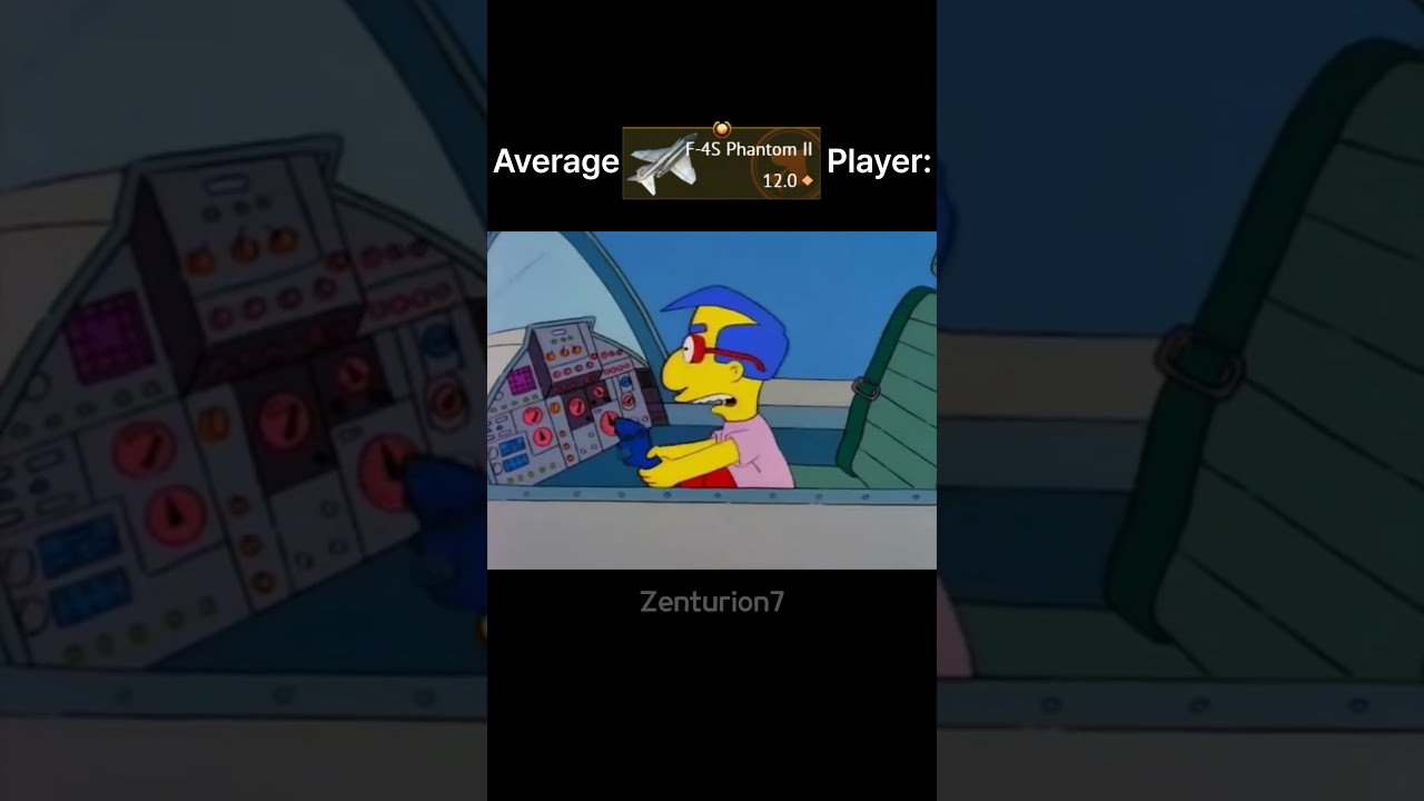 Average War Thunder Pilot: