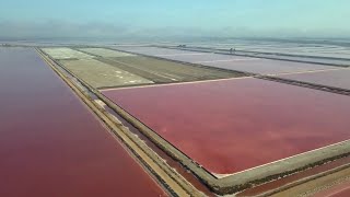 Week-end en Camargue, samedi à 20h50 sur France 5