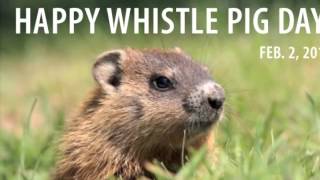 The WKU Store Groundhog's Day Ad 2013.
