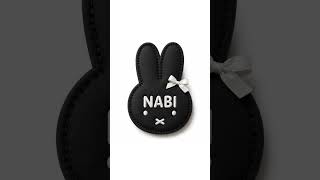 THE INTRO INSTRUMENTAL - NABI PARK WINTERS 