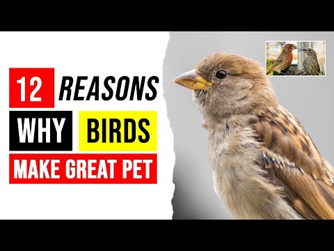 Why did i get this. Ways of learning english презентация. Why did i get this. Зачем мы женимся снова? фильм 2010. Why did i get married too?'.