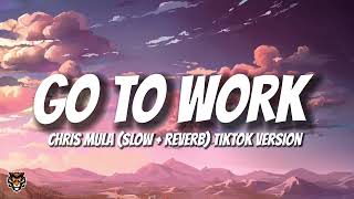Chris Mula - Go To Work (Slow + Reverb) TikTok Version 