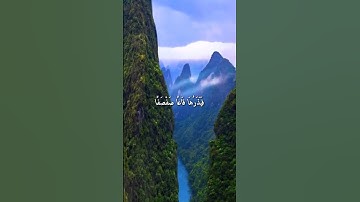 واتس اب قران كريم القارئ ياسر الدوسري من سورة (طه)
