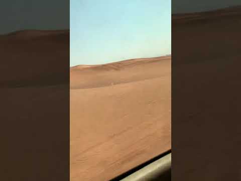 DUBAI DESERT 2019