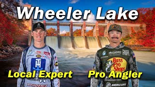 Local Expert Breaks Down Wheeler Lake