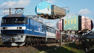 東海道本線 貨物撮影記 2018.12.14