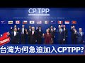 台湾为何急迫加入CPTPP? 中美如何角力亚太贸易平台?(字幕)/Why does Taiwan Strive to Join CPTPP/王剑每日观察/20201215
