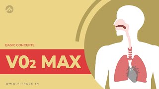 What is VO2 Max? | VO2 Max Explained | Sports Science | How To Improve Your VO2 Max | Fitpage