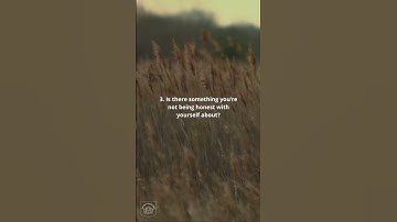 3 Journal Prompts For Self-Reflection 🤎