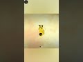 ডিমের মত গ্রহ? 😱 Wasp 12b - Egg planet #shorts