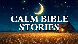 (NO MID ADS) Calm Bible Stories For Sleep And Relaxation | Fall Asleep In Gods Word... VOL.20