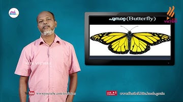 First Bell 2.0 STD 08 Biology Class 18