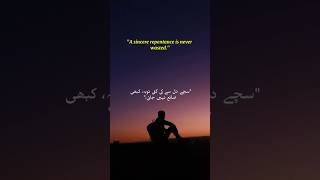"Sincere Repentance | Allah’s Mercy"