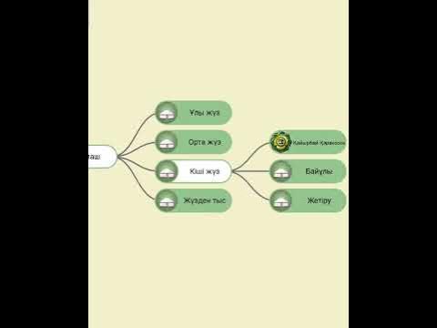 Қазақ рулары шежіре - YouTube