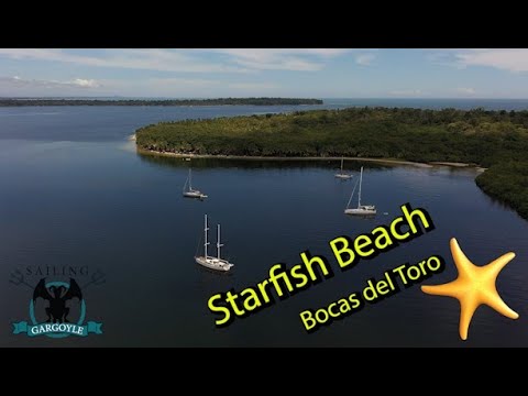Starfish Beach, Bocas del Toro Ep 68