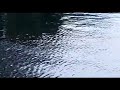 صوت مياه البحيرة مؤثرات صوتية