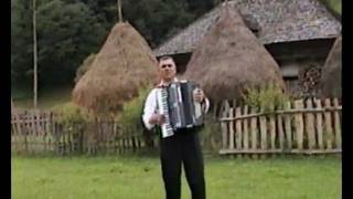 Video thumbnail of "Stelian Apostol Geamparalele.avi"