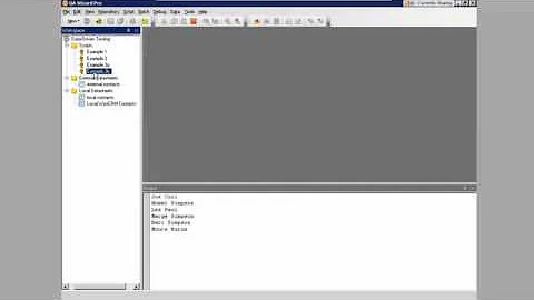 Advanced Data-driven Scripts with QA Wizard Pro