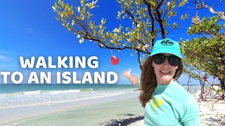 Caladesi Island State Park | Walking from Clearwater Beach to Caladesi