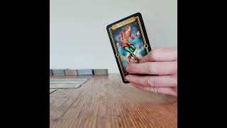 Taurus Love Tarot Reading You Have Learned The Karmic Lesson Keep Walking Don't Look Back May 2026 