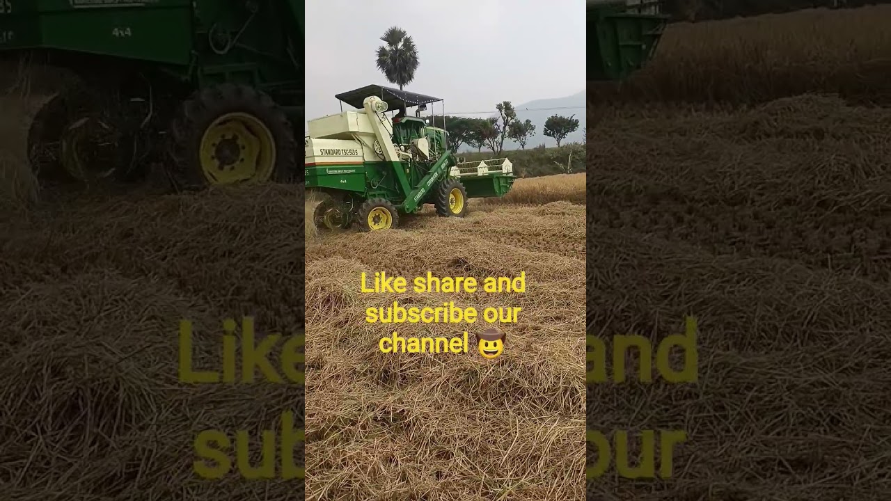 paddy harvesting method #technology #trending