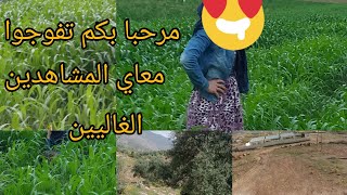 الطبيعة الخلابة وأجمل الأبقار في البادية خرجنا انا وعاءلتي نفوجوا شوية ?وخرجناكم معانا مرحبا بيكم