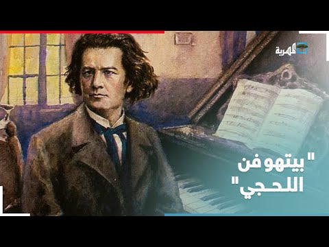 يمنيون يعزفون أشهر القطع الموسيقية لبيتهوفن بالإيقاع اليمني