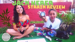 🍃STRAIN REVIEW | 👴🏽JACK HERER 👴🏽🍃