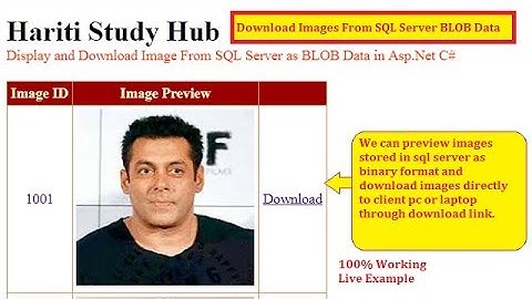 Download Image Stored in SQL Server as BLOB with Asp.Net C# | Hindi | Free Online Learning Code
