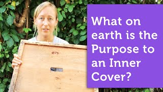 What On Earth Is the Purpose of an Inner Cover? | Beekeeping Equipment Explained