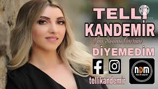 Telli Kandemir - Diyemedim 2022 Resimi