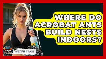 Where Do Acrobat Ants Build Nests Indoors? - Insects and Invaders