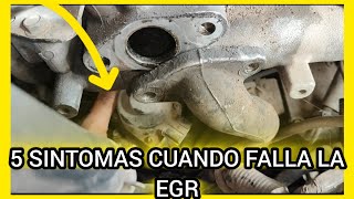 5 Síntomas De la EGR Si Falla y Como Funciona