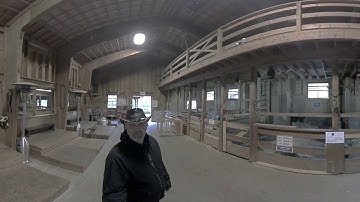 Insta360 Studio Files