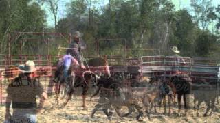 Celebrity Bubba's Faith Cattle Company Wealth