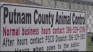 Putnam County neighbors resort to trapping stray dogs themselves screenshot 4