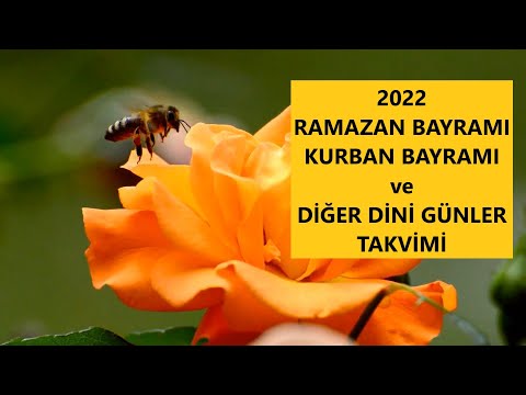 2022 Ramazan Bayramı Ne Zaman - Dini Günler - Kurban Bayramı - Kandiller Takvimi