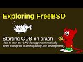 FreeBSD: debugging rare events through starting GDB from within the program under test
