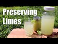 Making & Canning Limeade Concentrate ~ Preserving Limes
