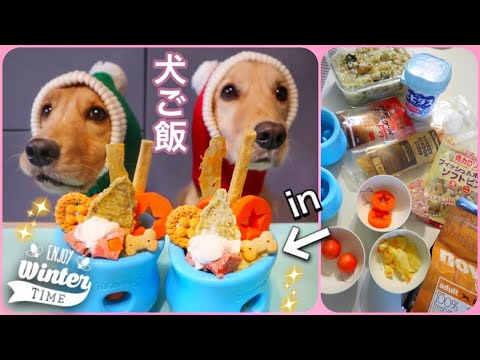 【ASMR 咀嚼音】犬ごはん～早食い防止皿で食事！Topple Treat Toy with zogoflex