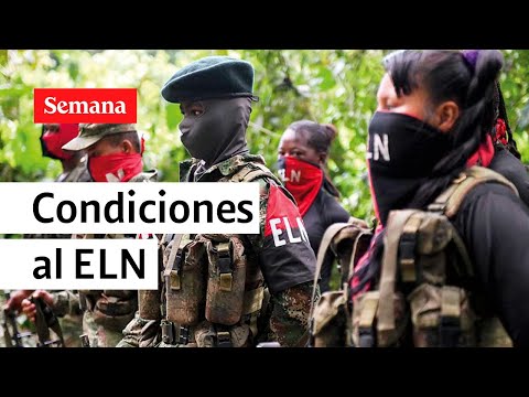 ELN podría salir de la lista de terroristas de la Unión Europea | Semana Noticias